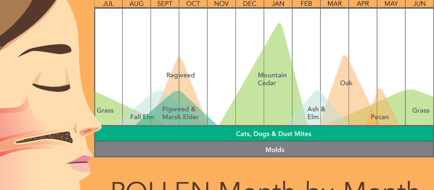 Harker Heights Allergy's monthly allergen infographic calendar highlighting Central Texas pollen seasons